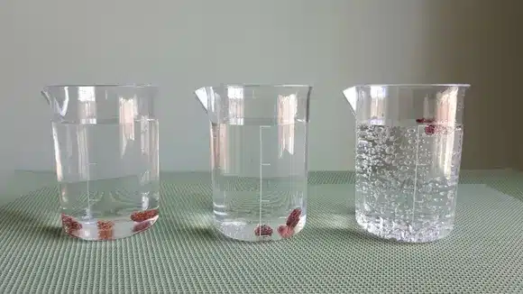Science en cuisine : la danse des raisins