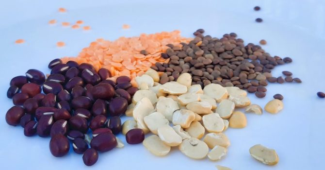 Assortiment-legumes-secs